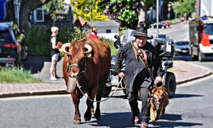 Ein Unvergessliches Fest  für die Ganze Familie